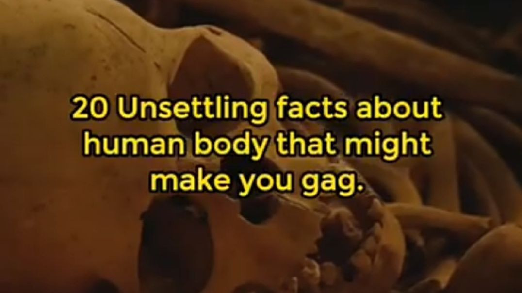 20 Amazing Facts about human body